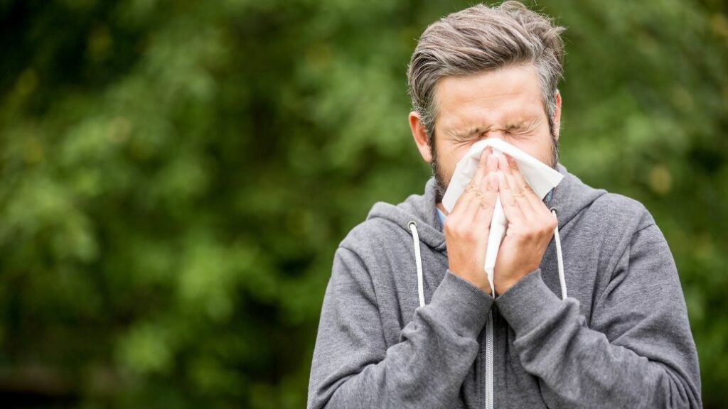 Hay fever Treatment Online